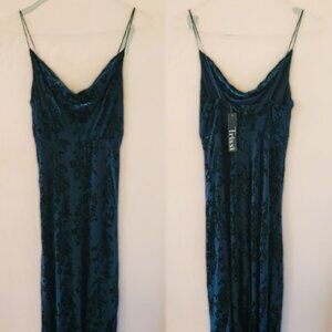 NWT Emerald Whimsigoth Velvet Gown